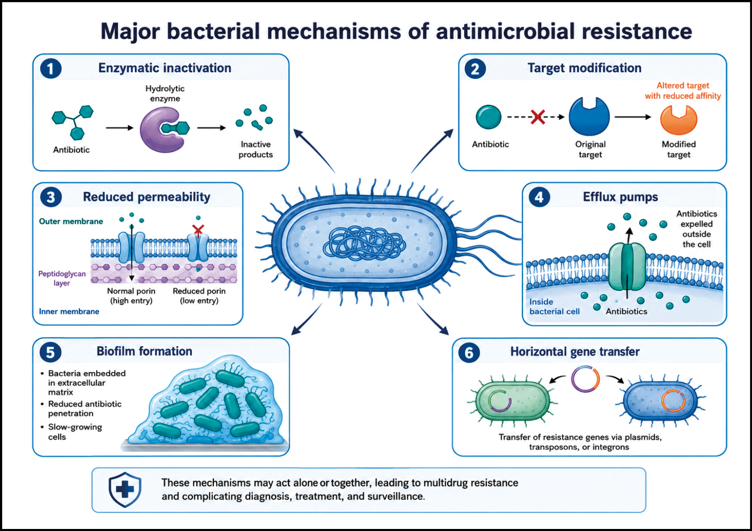 Meccanismi principali di resistenza antimicrobica batterica illustrati con diagrammi che mostrano inattivazione enzimatica, modifica del bersaglio, riduzione della permeabilità, pompe di efflusso, formazione di biofilm e trasferimento orizzontale di geni.
Descrizione generata da AI
